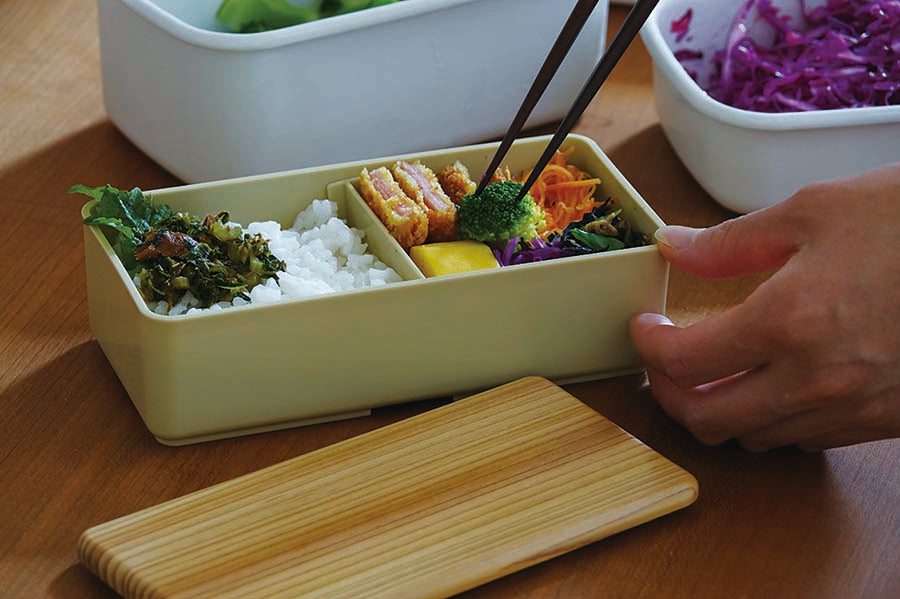 Gel-Cool Rectangle Bento | Kodai Sugi, 500mL