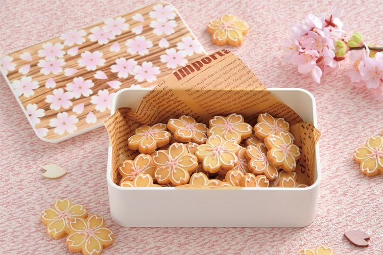 Sakura Mokume One Tier Bento Box | Pink 600ml
