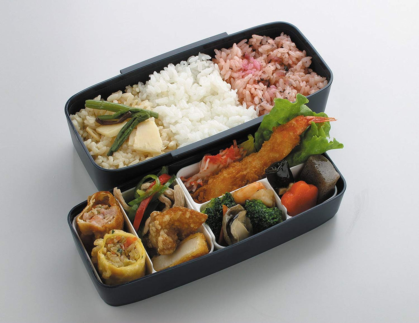 Modern+ Bento | 2 tiers, 900mL