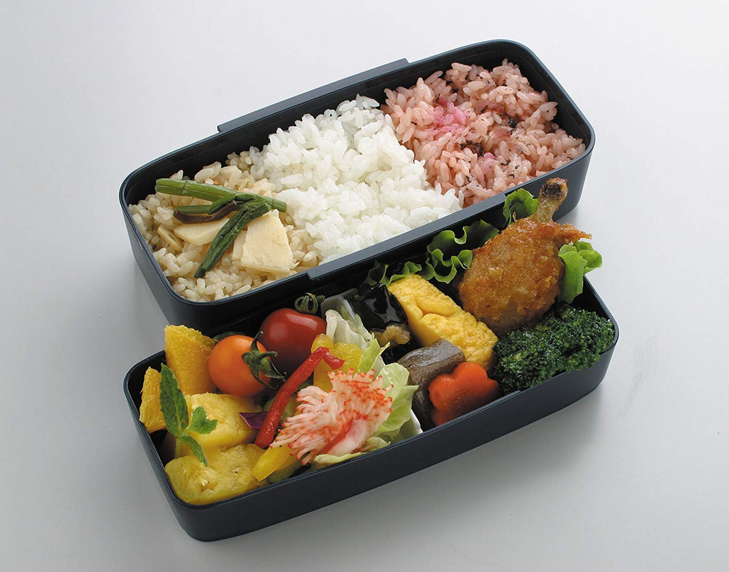 Modern+ Bento | 2 tiers, 900mL