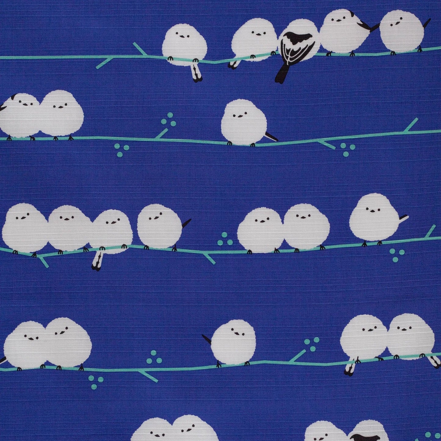 50cm Animal Furoshiki | Shima Enaga