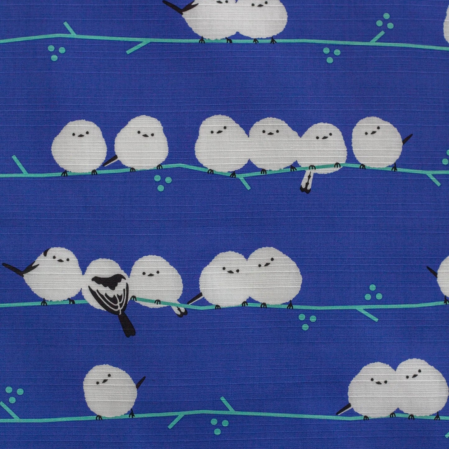 50cm Animal Furoshiki | Shima Enaga