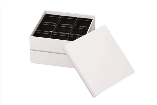 White Two Tier Picnic Bento Box 21cm
