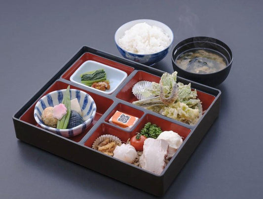 Shokado Pro 5 compartments