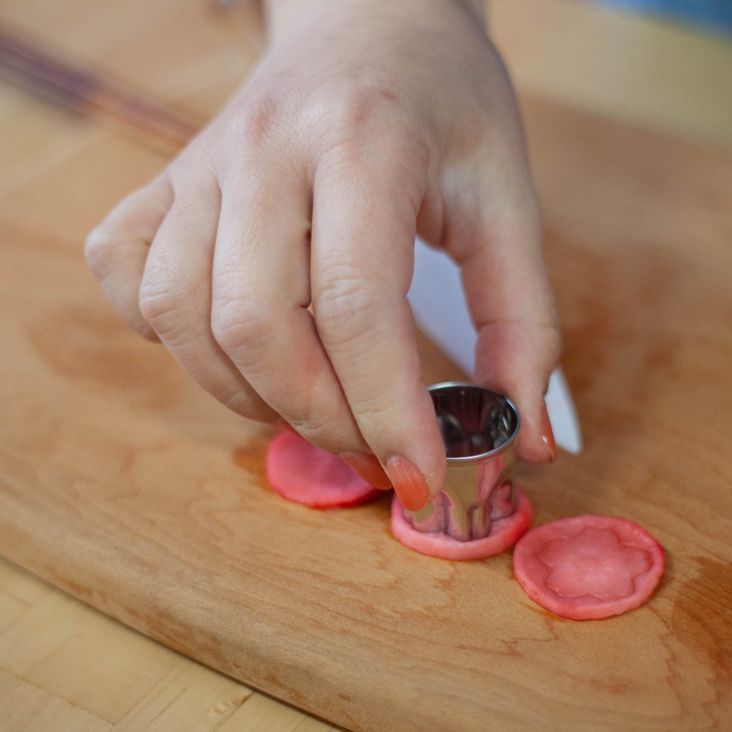 Stainless Steel Japanese Food Cutters | Sakura