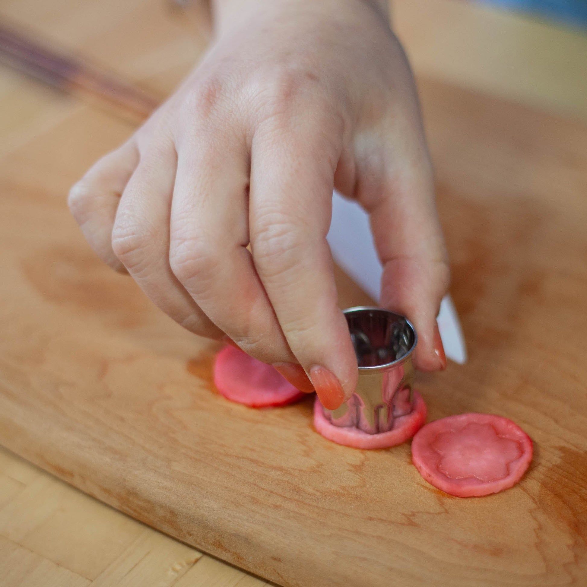 Japanese Food Cutters - Wa