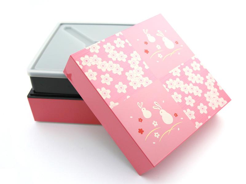 2-tier Picnic Bento | Sakura Hanami 18cm